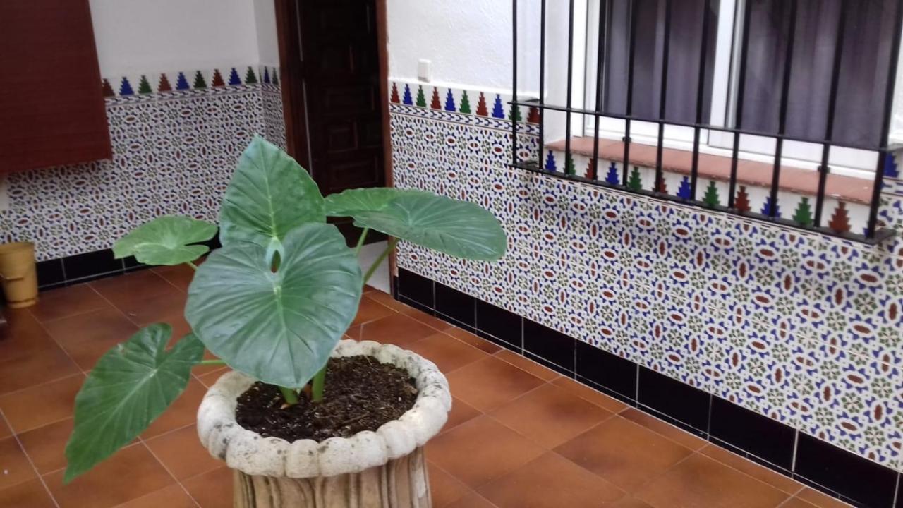 Pompeyos Viviendas Vacacionales Cordova Esterno foto